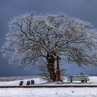 Nationalpark Eifel