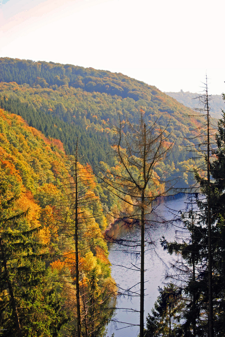 Nationalpark Eifel