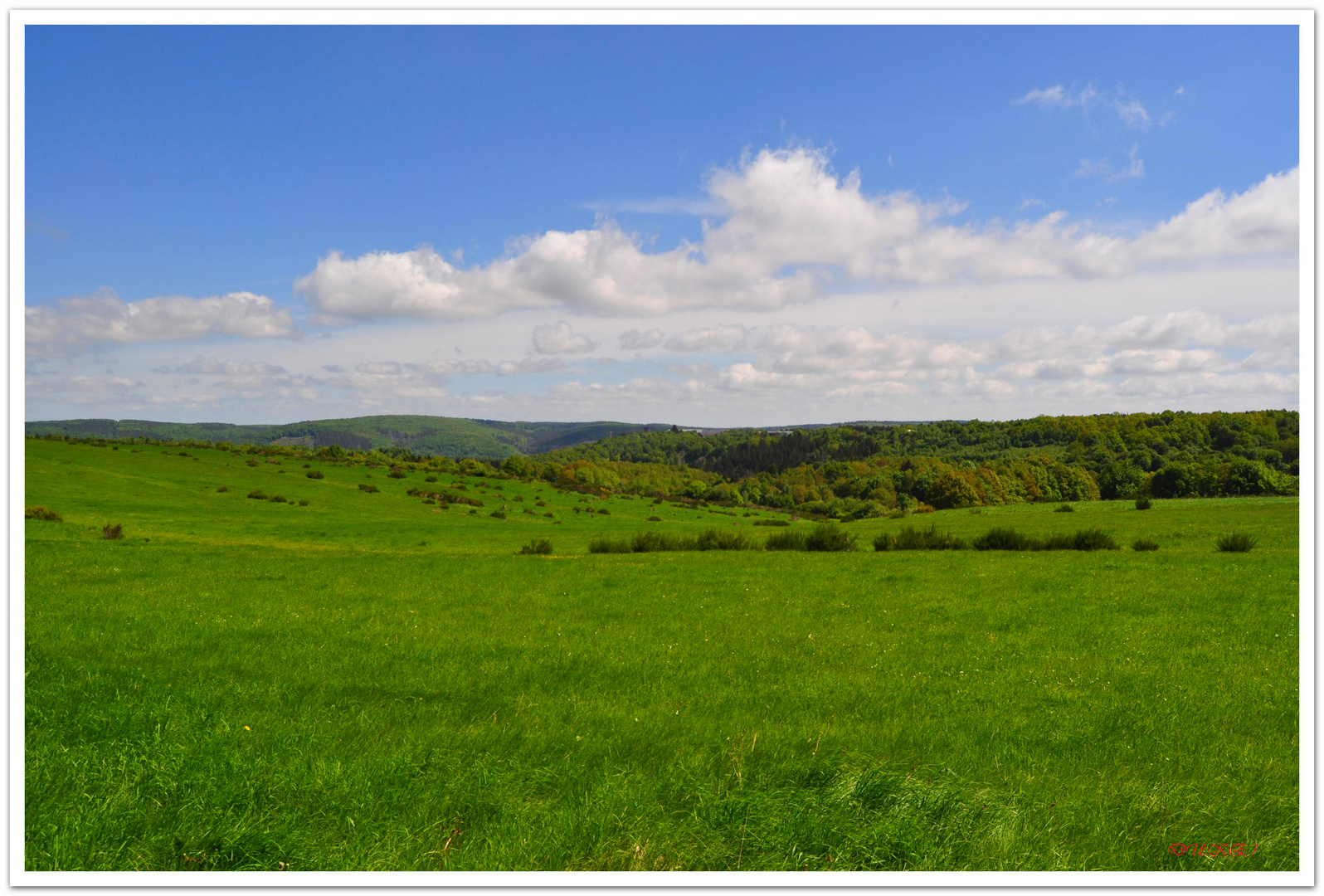 Nationalpark Eifel .