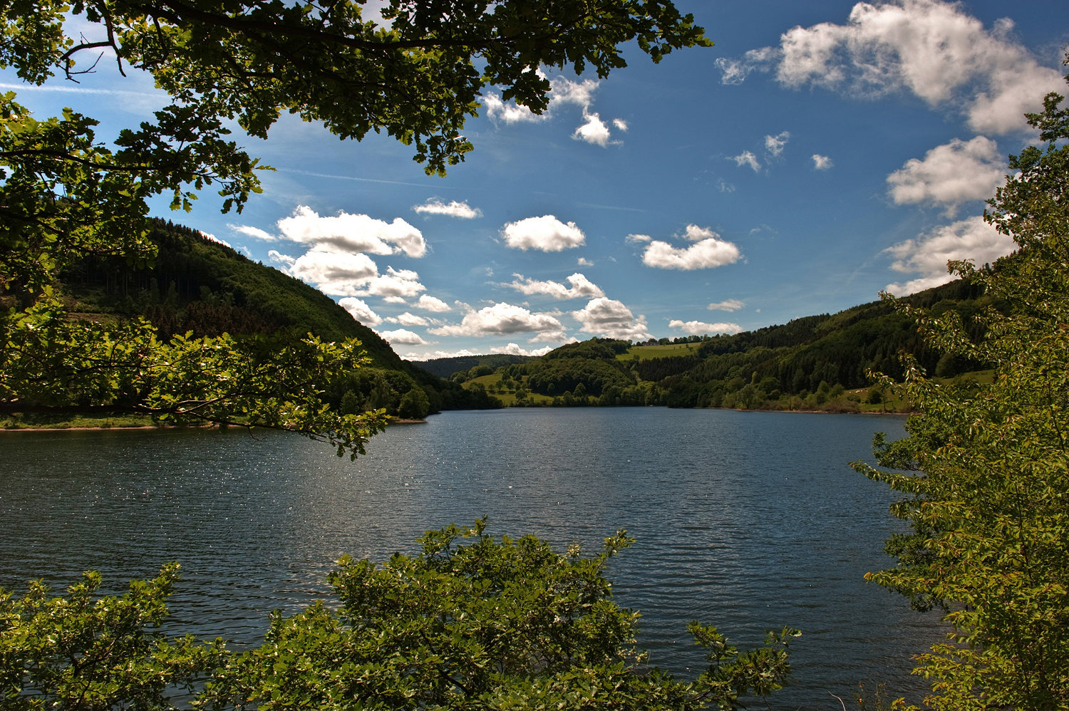 Nationalpark Eifel Foto & Bild  deutschland, europe, nordrhein- westfalen Bilder auf fotocommunity