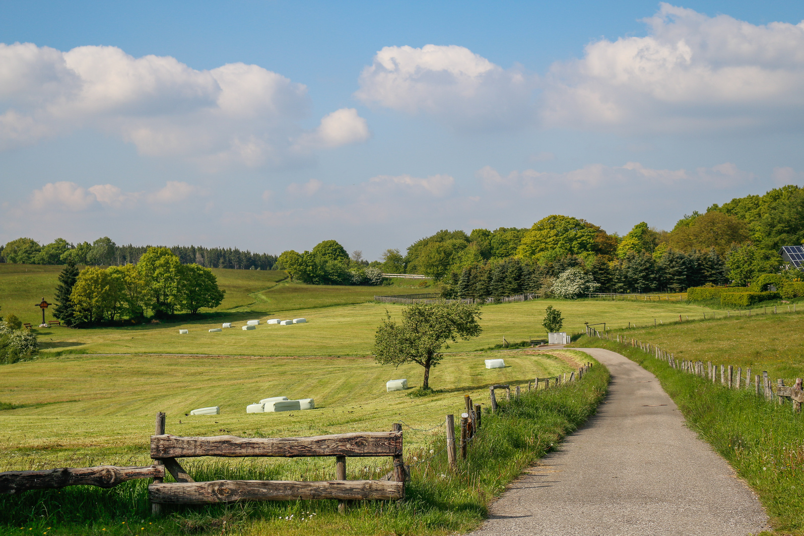 Nationalpark Eifel