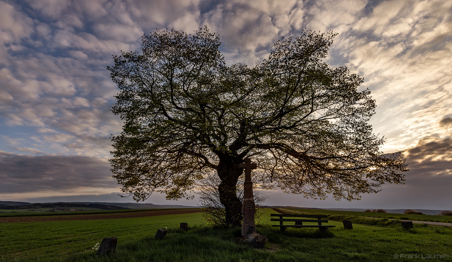 Nationalpark Eifel