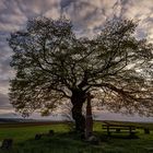 Nationalpark Eifel