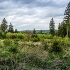 Nationalpark Eifel