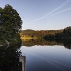 Nationalpark Eifel