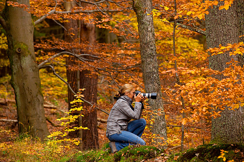 Nationalpark Eifel - Fototour im Herbst