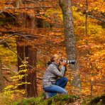 Nationalpark Eifel - Fototour im Herbst