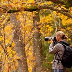 Nationalpark Eifel - Indian Summer