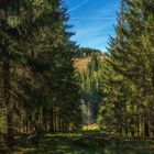 Nationalpark Eifel, Monschau.