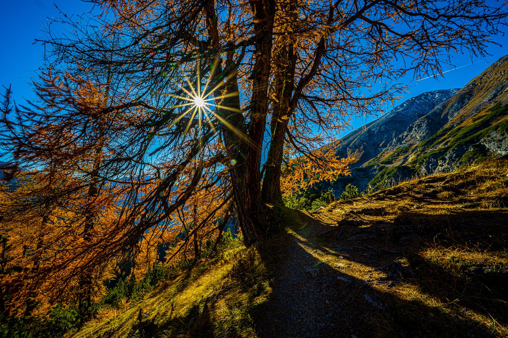 Nationalpark Engadin