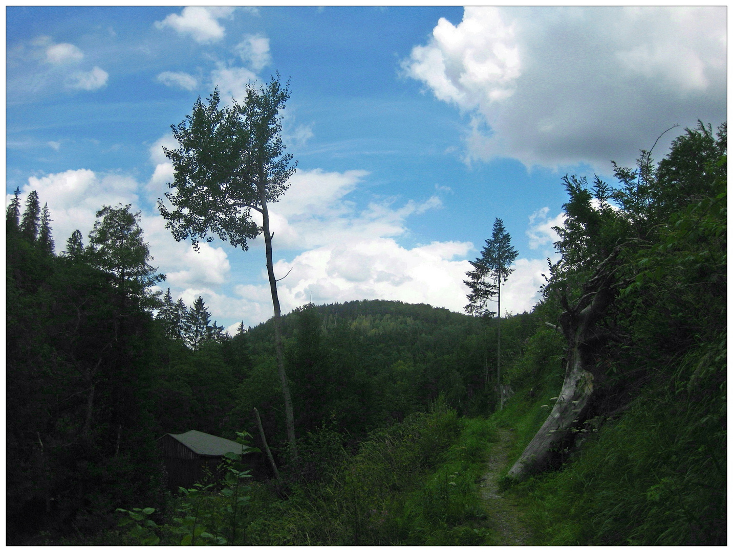 Nationalpark Frankenwald?