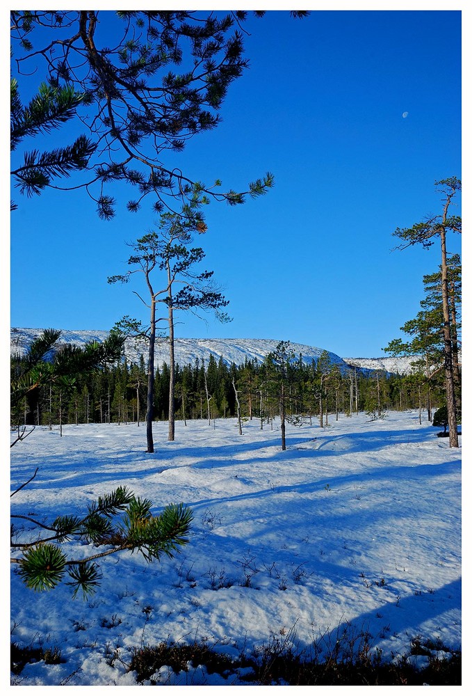 Nationalpark Fulufjället