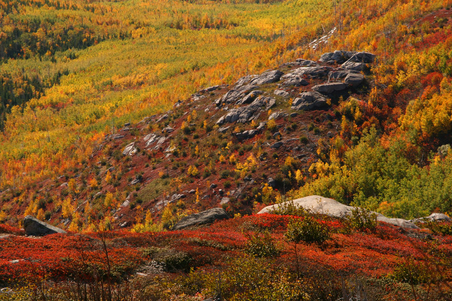 Nationalpark Grands-Jardins