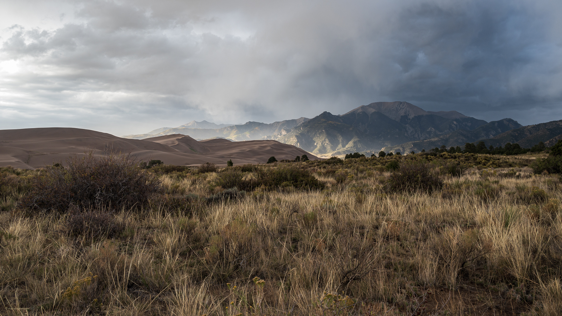 Nationalpark Great Sanddunes, Colorado, USA