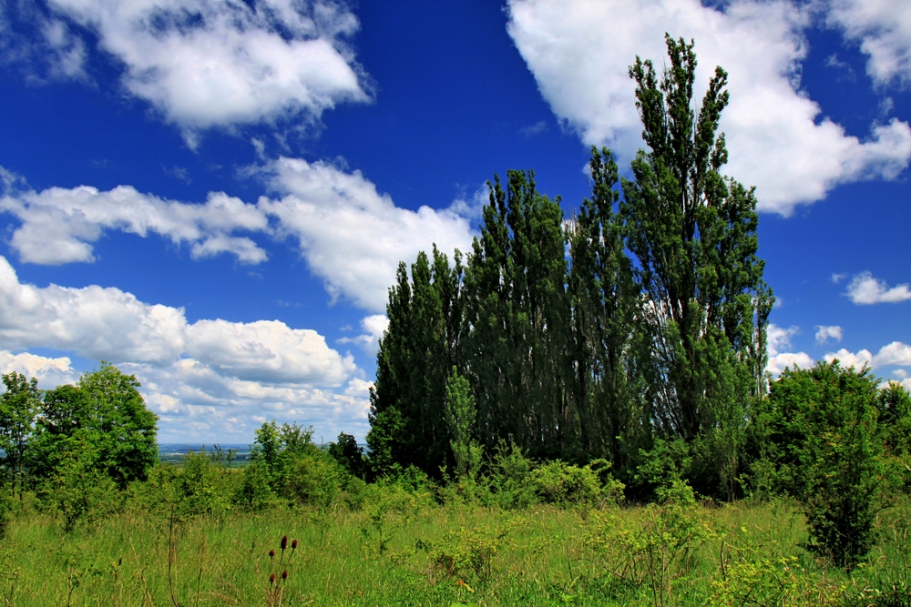 Nationalpark Hainich (1)