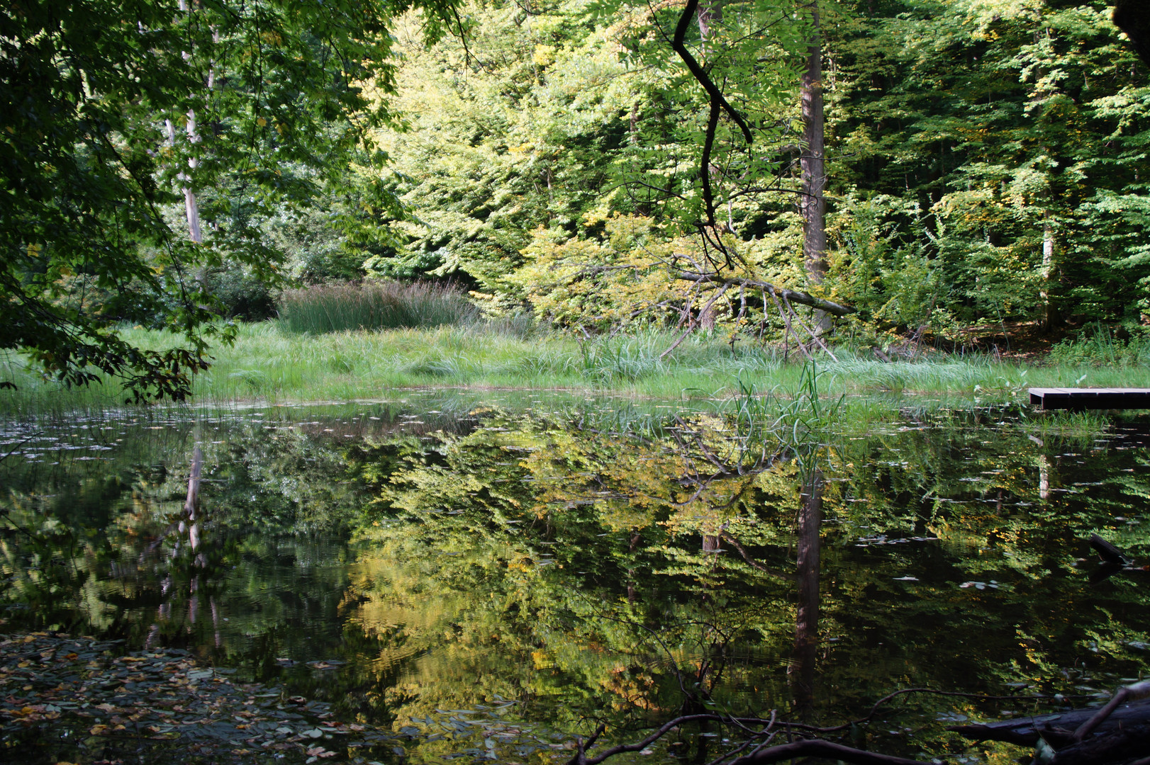 Nationalpark Hainich