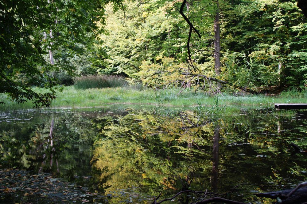 Nationalpark Hainich