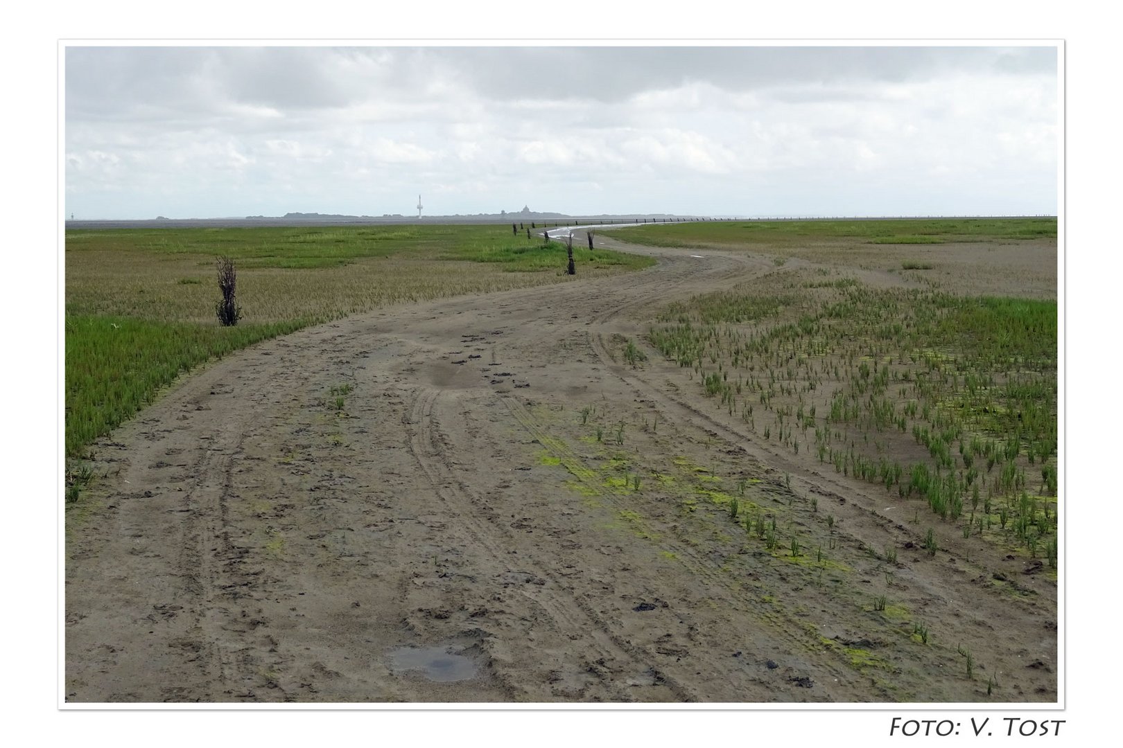 Nationalpark Hamburgisches Wattenmeer