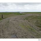 Nationalpark Hamburgisches Wattenmeer