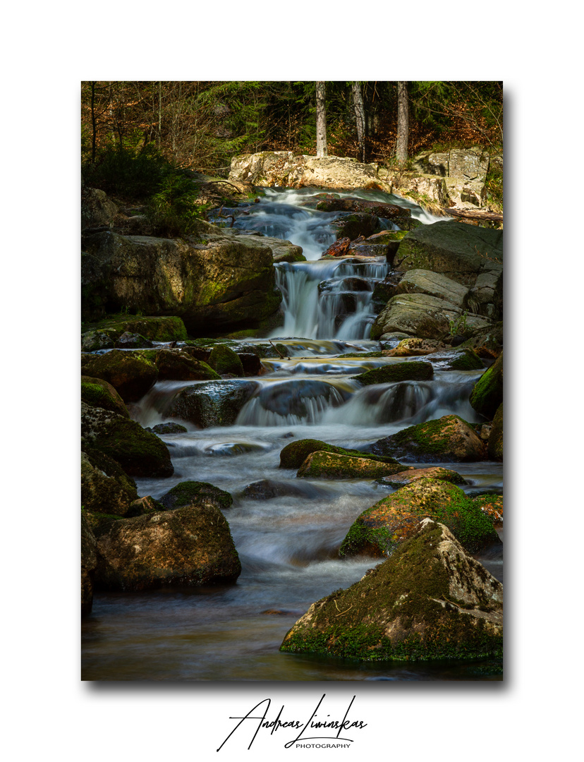 Nationalpark Harz 