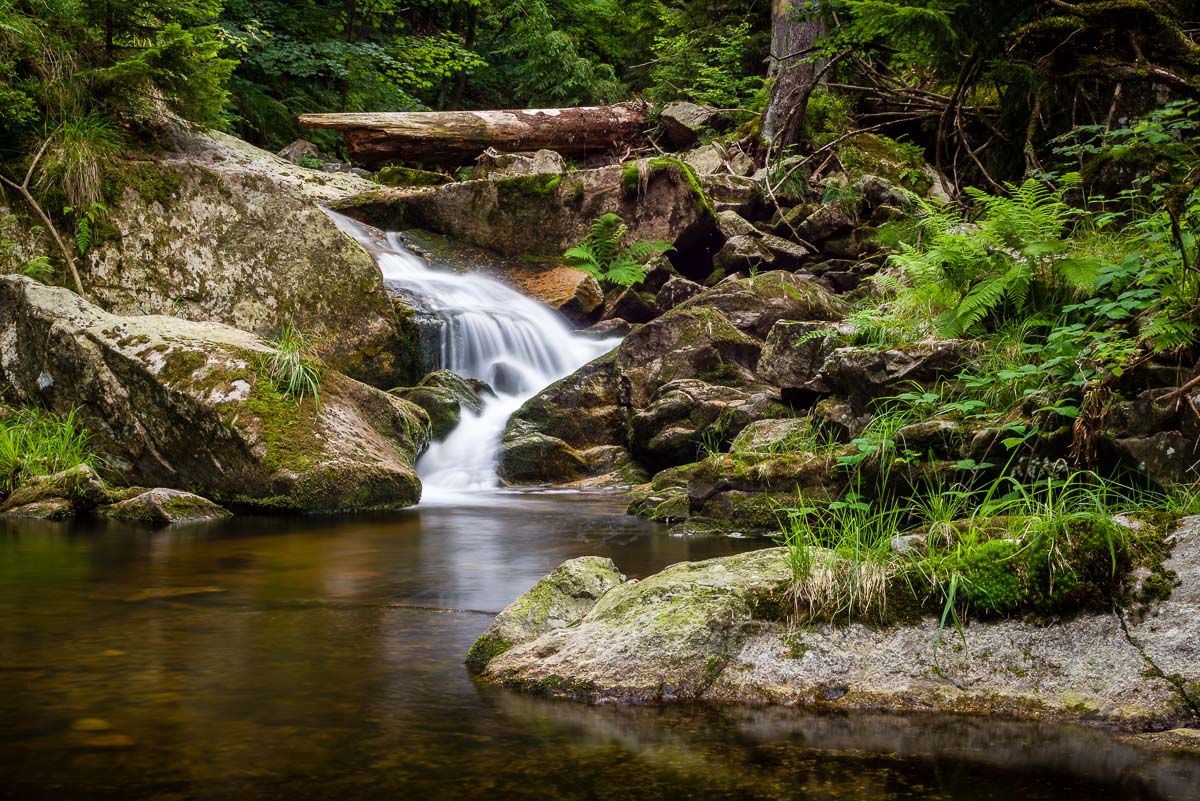 Nationalpark Harz