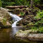 Nationalpark Harz