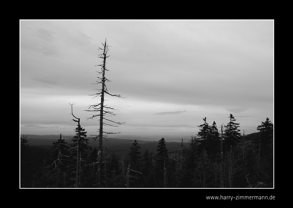 Nationalpark Harz