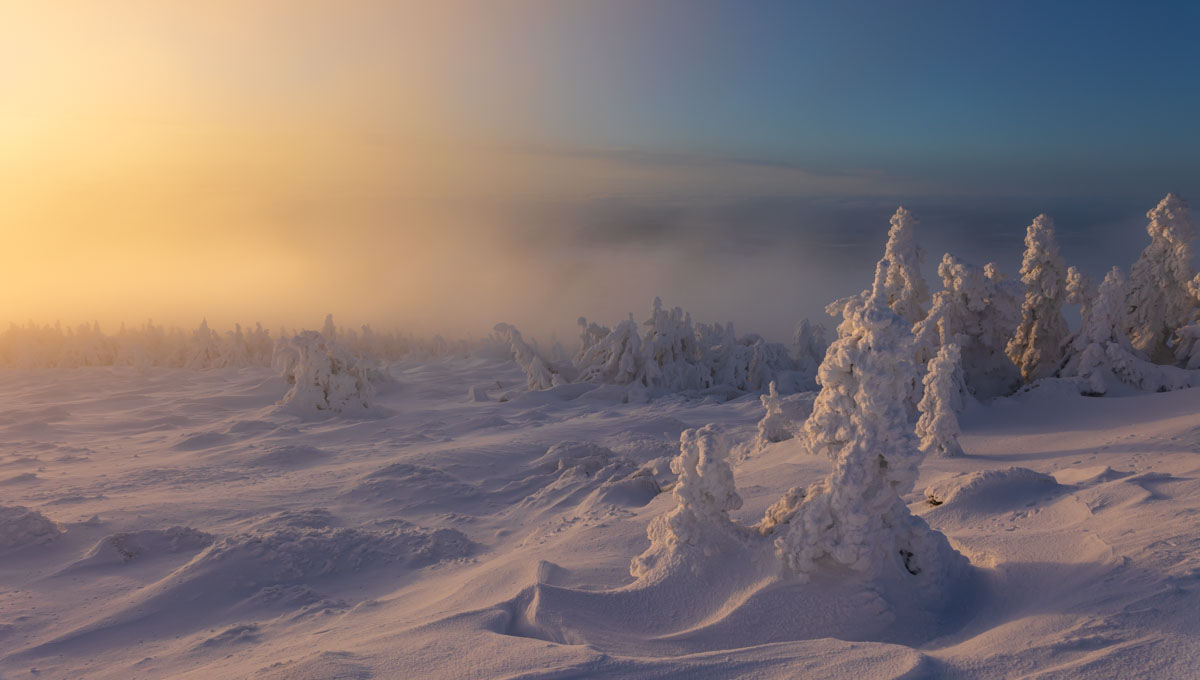 Nationalpark Harz...