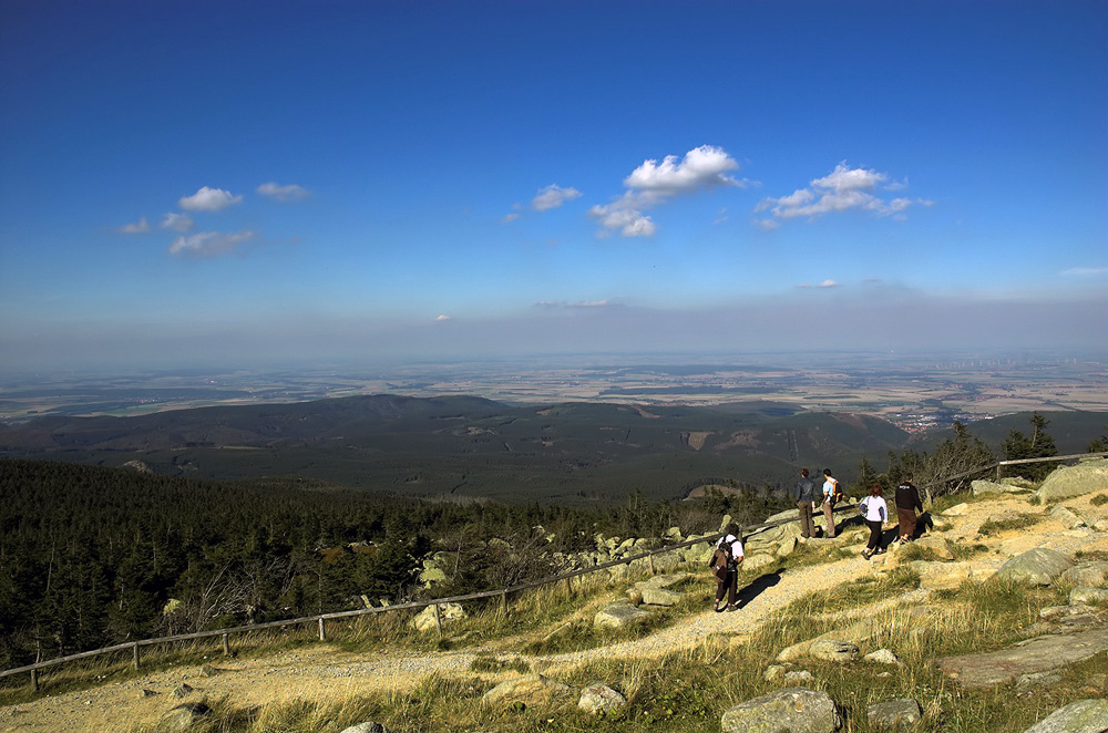 Nationalpark Harz