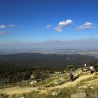 Nationalpark Harz