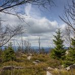 Nationalpark Harz