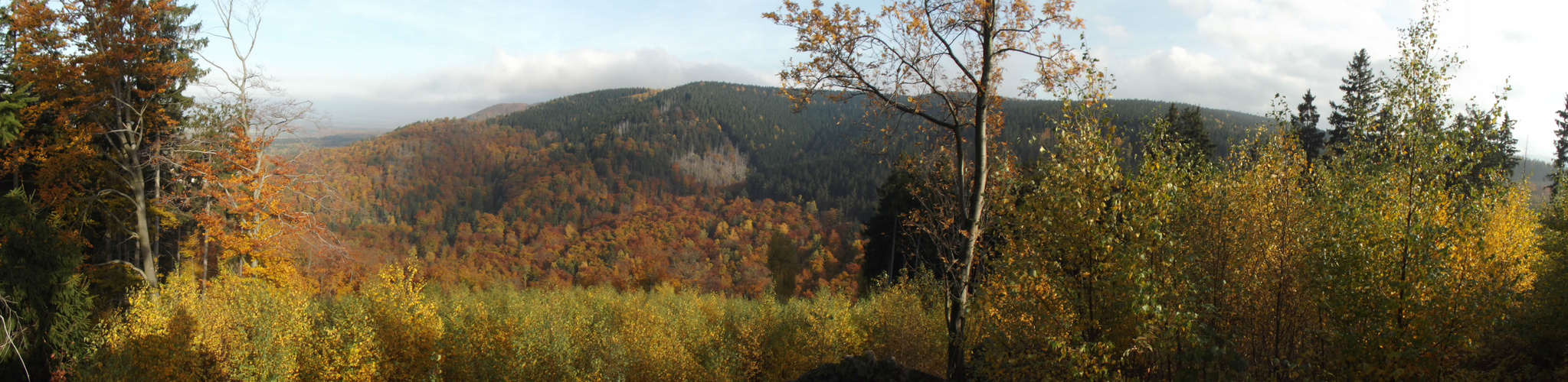 Nationalpark Harz