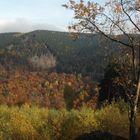 Nationalpark Harz