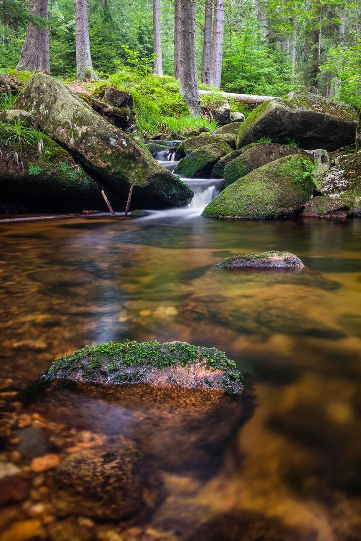 Nationalpark Harz | Bodefall I