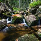 Nationalpark Harz | Bodefall II