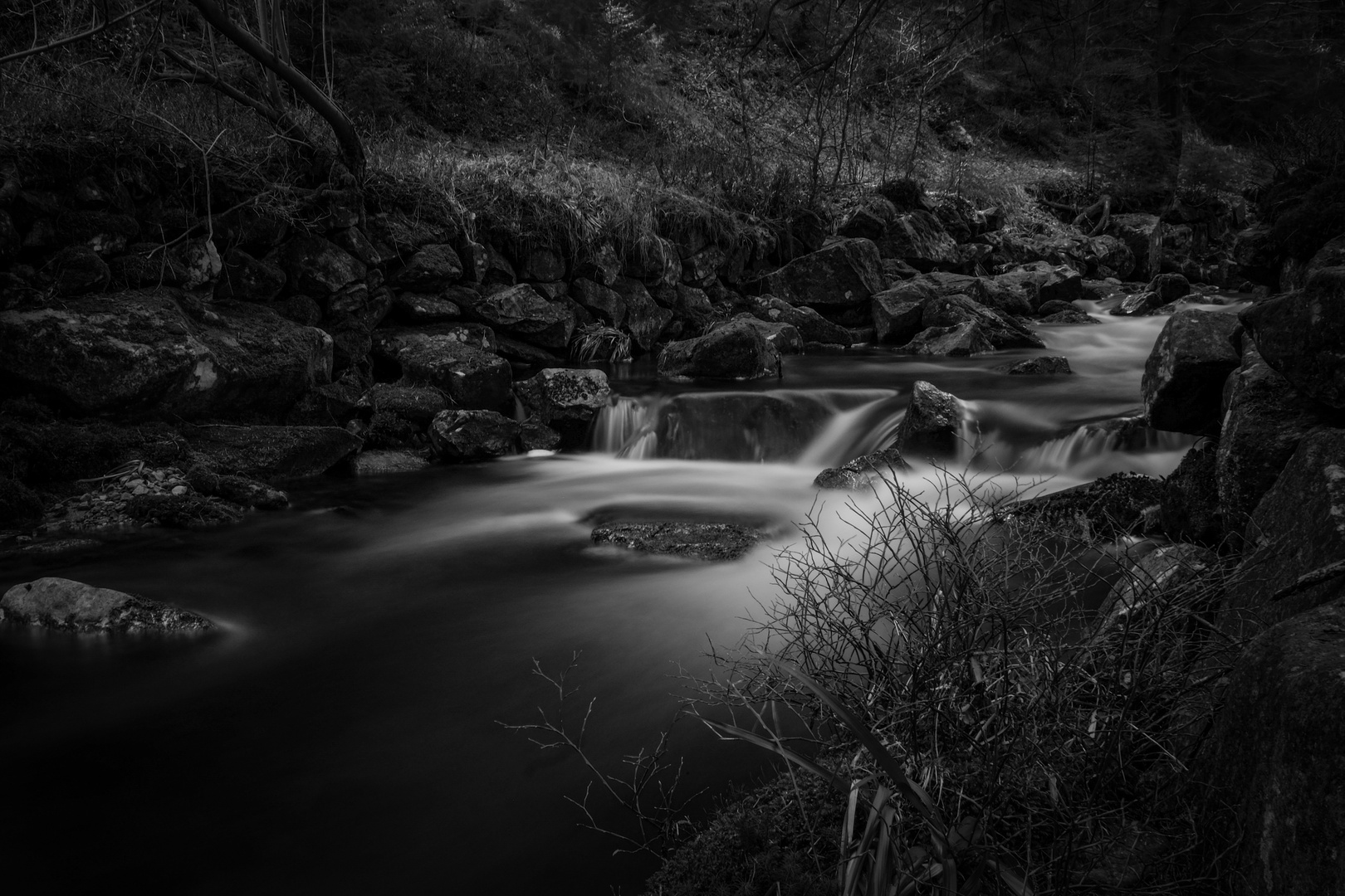 Nationalpark Harz