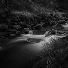 Nationalpark Harz