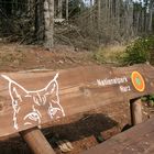 Nationalpark Harz