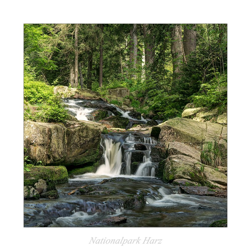 Nationalpark Harz " so schön und Wild ist unser Harzer Land............ "