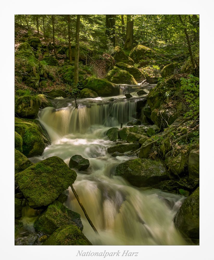 Nationalpark Harz " so schön und Wild ist unser Harzer Land ....."