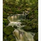 Nationalpark Harz " so schön und Wild ist unser Harzer Land ....."