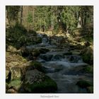 Nationalpark Harz " so schön und Wild ist unser Harzer Land ....."