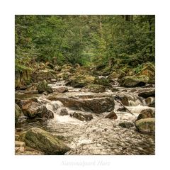 Nationalpark Harz " so schön und Wild ist unser Harzer Land ..."