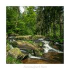 Nationalpark Harz " so schön und Wild ist unser Harzer Land ..."