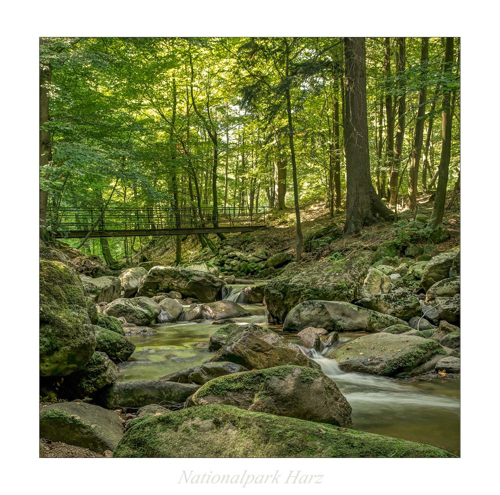 Nationalpark Harz " so schön und Wild ist unser Harzer Land ....."