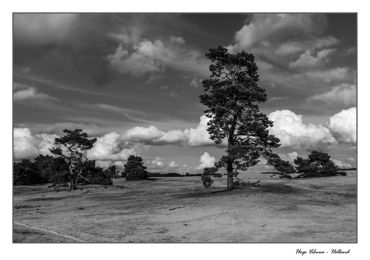 Nationalpark Hoge Valuwe - Holland