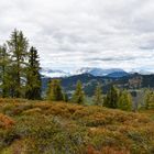 Nationalpark Hohe Tauern 06