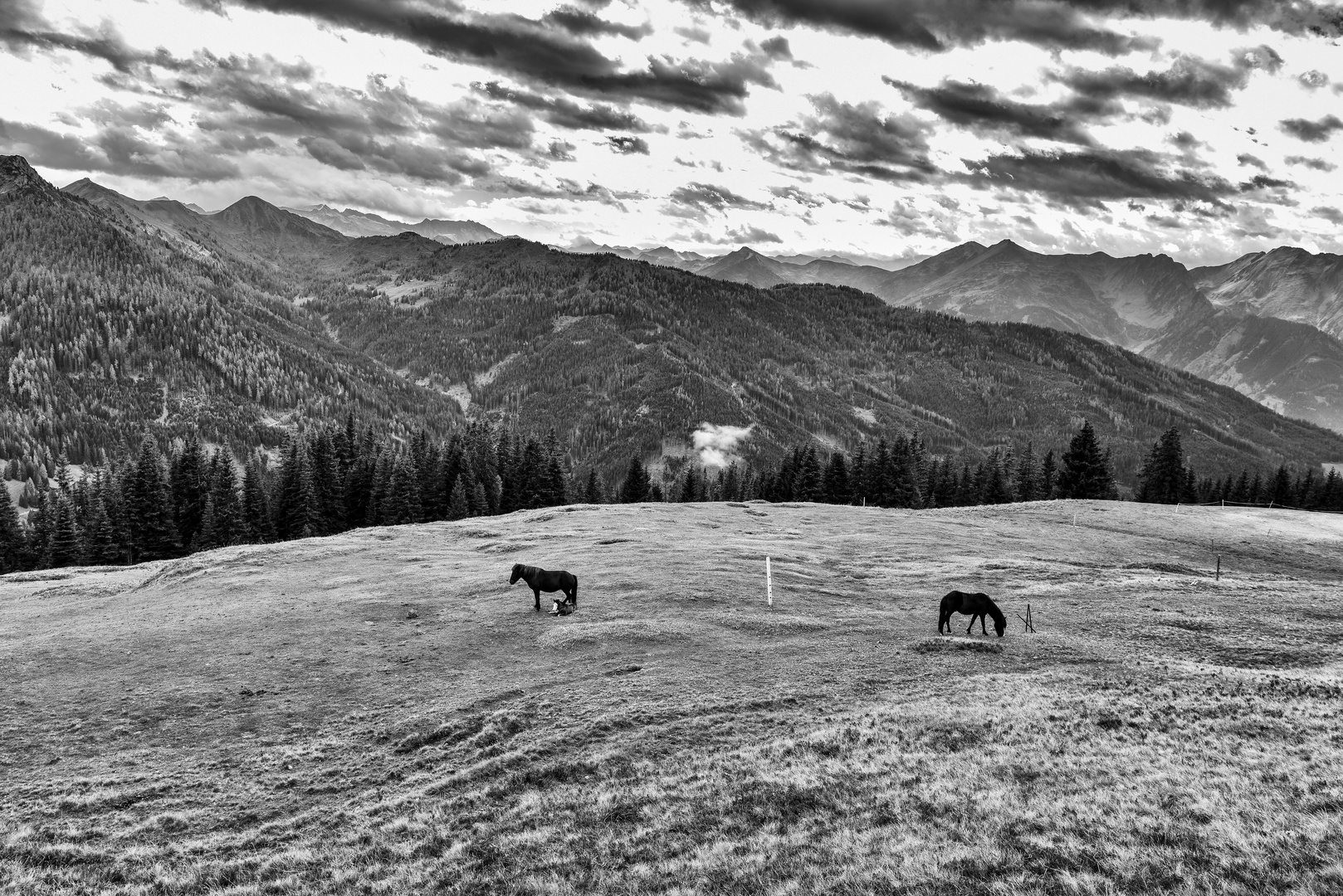 Nationalpark Hohe Tauern 07