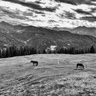 Nationalpark Hohe Tauern 07