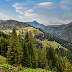 Nationalpark Hohe Tauern 08